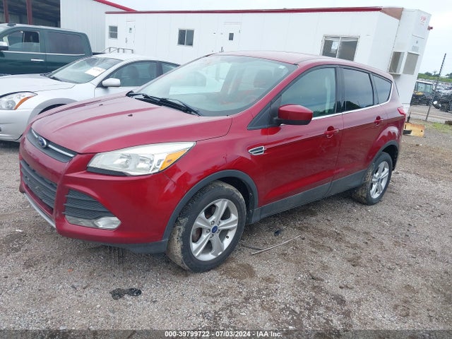 Ford ESCAPE SE 2014 1FMCU0GX7EUA52774 Image 2