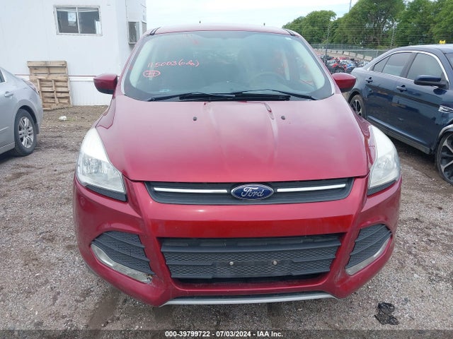 Ford ESCAPE SE 2014 1FMCU0GX7EUA52774 Image 6