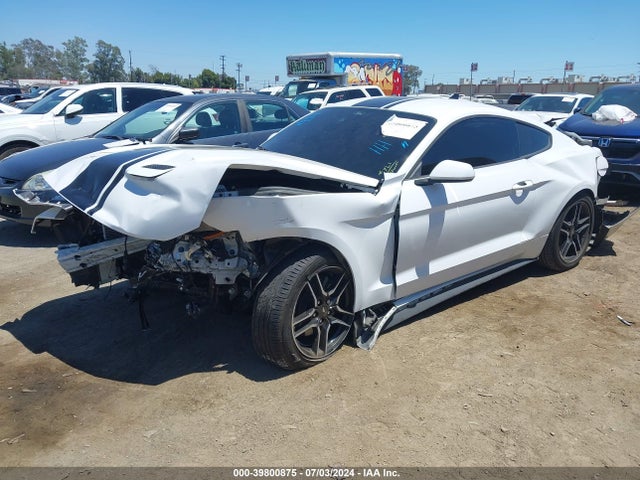 Ford Mustang Ecoboost Fastback 2022 1FA6P8TH7N5136048 Image 2