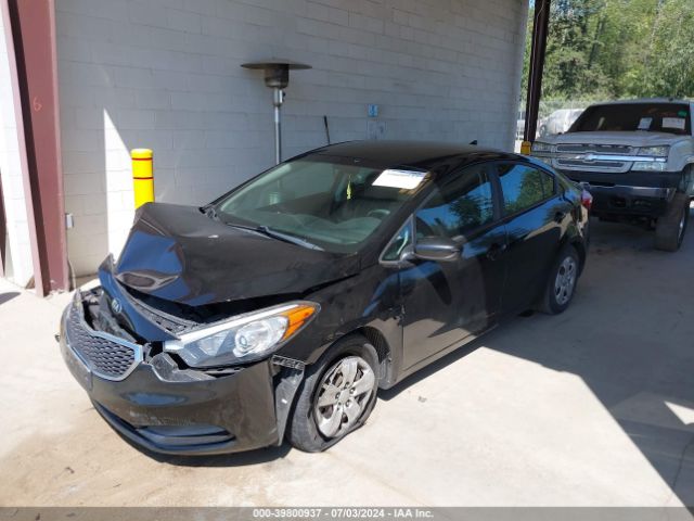 KNAFK4A69F5346538 KIA FORTE LX