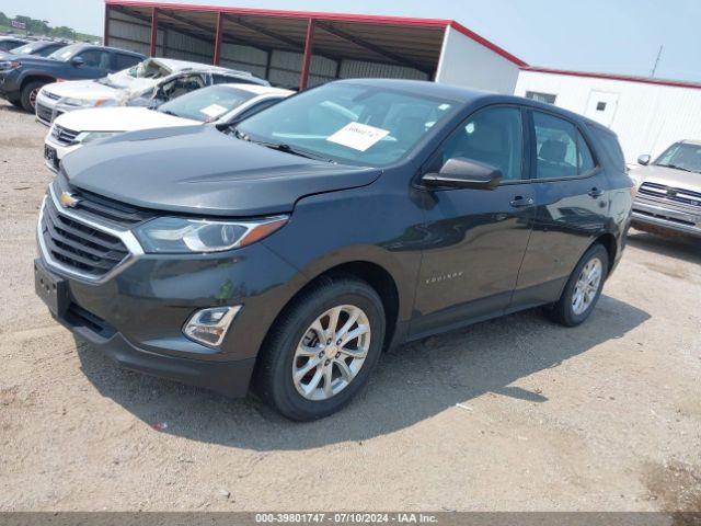 2GNAXREV0J6172974 Chevrolet EQUINOX LS