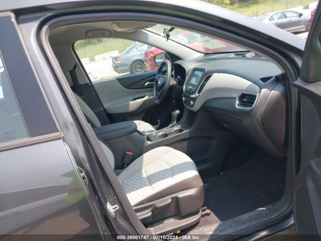 2GNAXREV0J6172974 Chevrolet EQUINOX LS