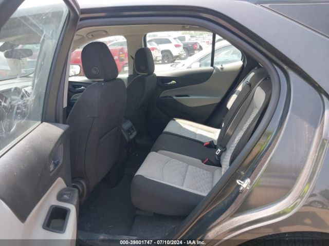 2GNAXREV0J6172974 Chevrolet EQUINOX LS