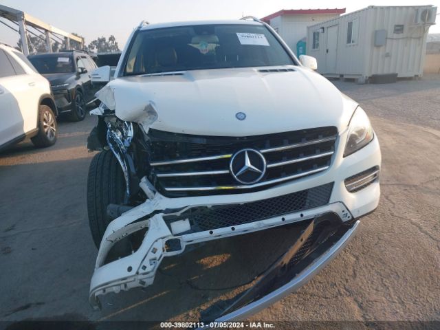 4JGDA5JB5FA519720 Mercedes-Benz ML 350
