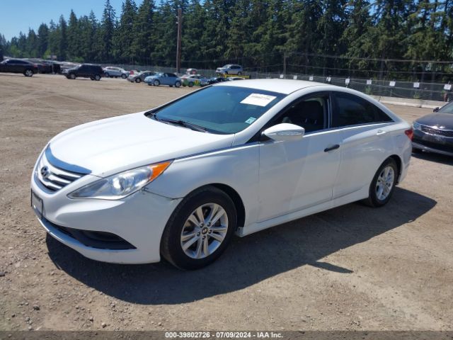 5NPEB4AC3EH835911 Hyundai SONATA GLS