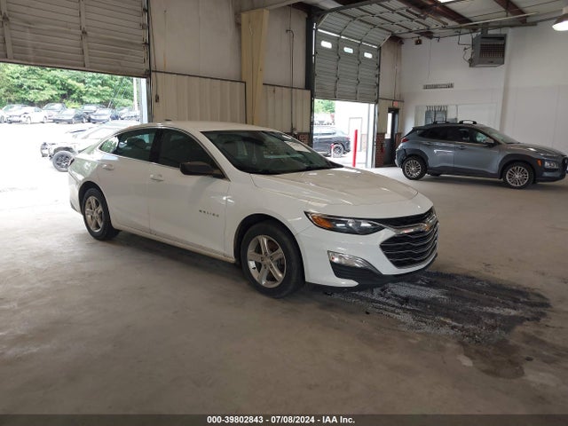 2019 1G1ZC5ST3KF180179 main image