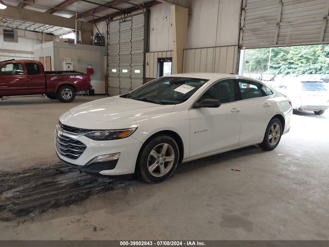 Chevrolet Malibu 1fl 2019 1G1ZC5ST3KF180179 Image 2