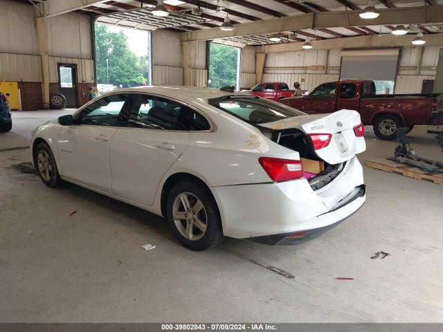 Chevrolet Malibu 1fl 2019 1G1ZC5ST3KF180179 Image 3