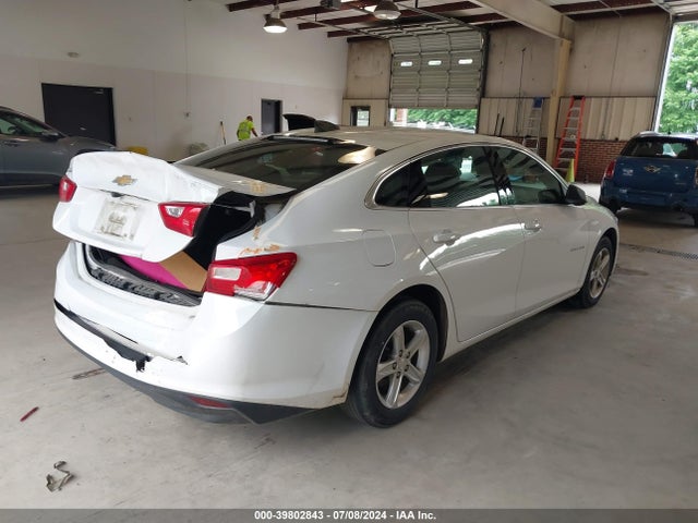 Chevrolet Malibu 1fl 2019 1G1ZC5ST3KF180179 Image 4