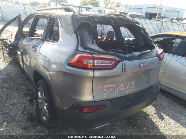 Jeep 2014 2014 1C4PJLDS8EW103938 Image 3