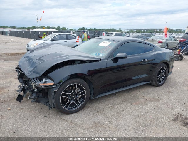 Ford Mustang Ecoboost Fastback 2022 1FA6P8TH3N5143191 Image 2