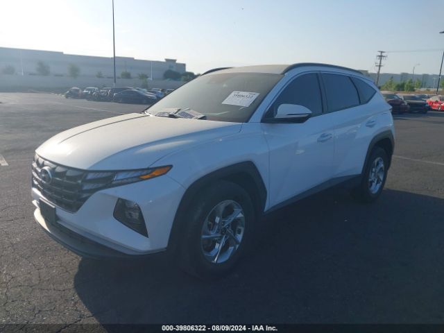 KM8JB3AE1NU021381 Hyundai TUCSON SEL
