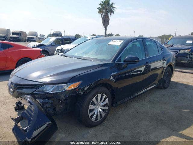 4T1B31HK7KU513426 Toyota Camry Hybrid Le