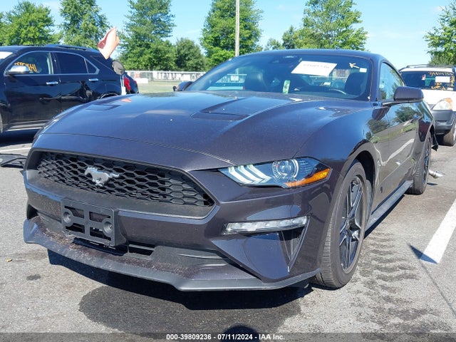 Ford Mustang Ecoboost Premium Fastback 2023 1FA6P8TH1P5100679 Image 2
