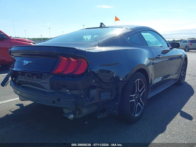 Ford Mustang Ecoboost Premium Fastback 2023 1FA6P8TH1P5100679 Image 4