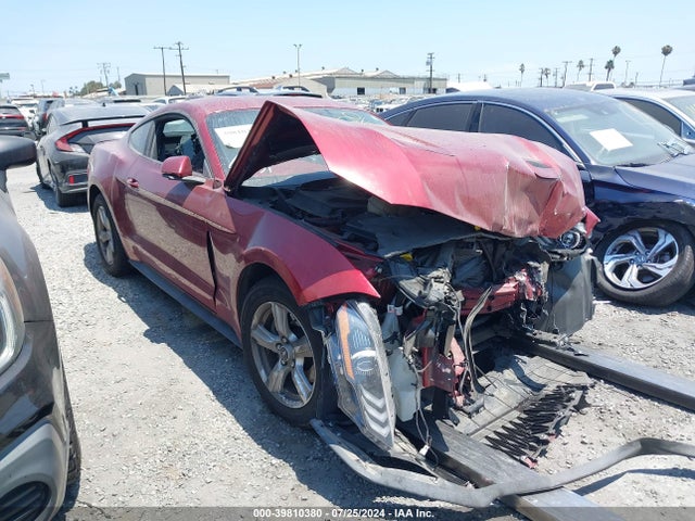 2019 1FA6P8THXK5108997 main image