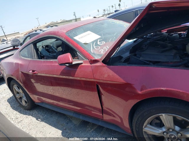 Ford Mustang Ecoboost Premium 2019 1FA6P8THXK5108997 Image 13