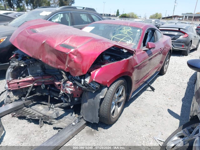 Ford Mustang Ecoboost Premium 2019 1FA6P8THXK5108997 Image 2