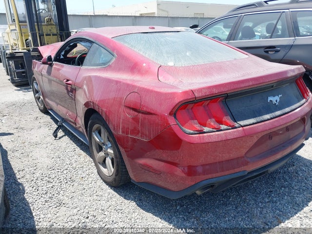Ford Mustang Ecoboost Premium 2019 1FA6P8THXK5108997 Image 3