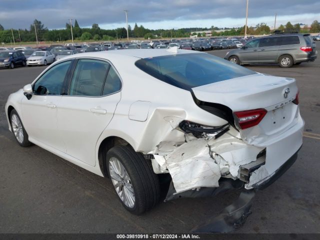 4T1B11HK8KU792214 Toyota CAMRY XLE