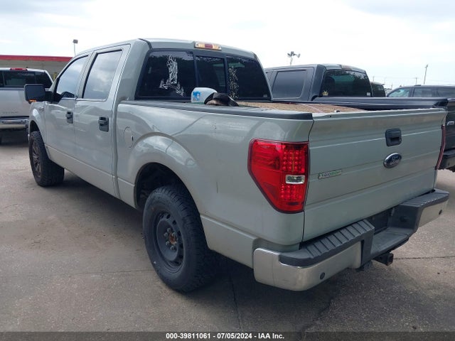 Ford F-150 Xlt 2014 1FTFW1ET1EKF27669 Image 3