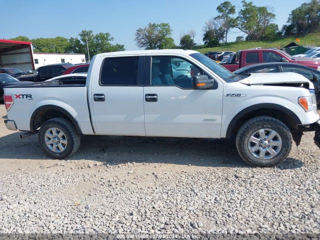 Ford F-150 Xlt 2014 1FTFW1ETXEFA32962 Image 13