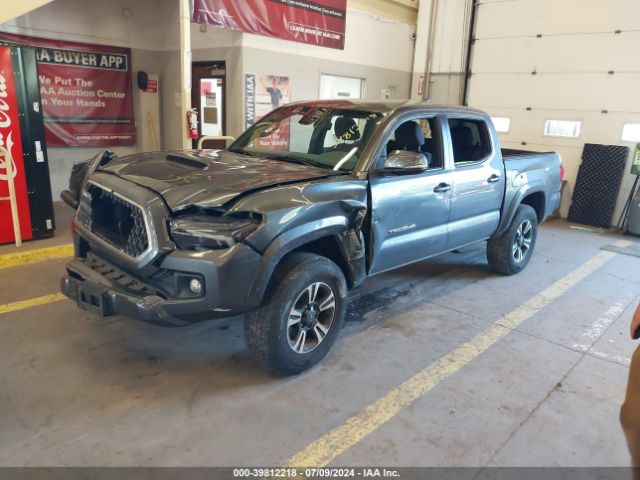5TFCZ5AN8KX178324 Toyota Tacoma Trd Sport