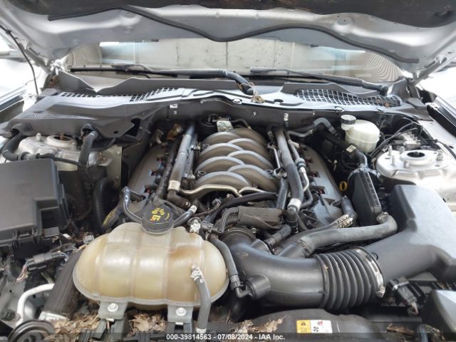 1FA6P8CFXF5399313 Ford Mustang Gt Premium