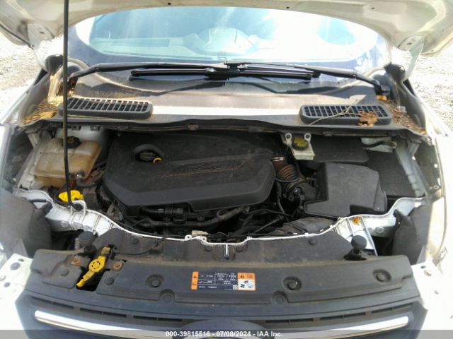 1FMCU0GX4EUE14463 Ford ESCAPE SE