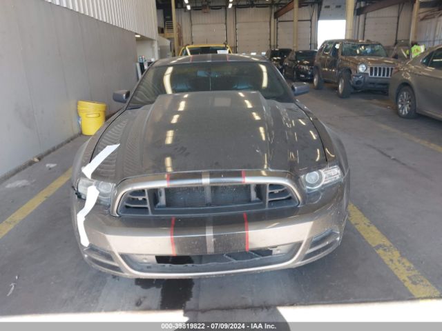 1ZVBP8CF2E5303484 Ford Mustang Gt Premium