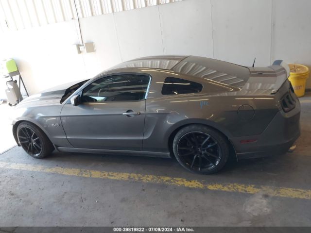 1ZVBP8CF2E5303484 Ford Mustang Gt Premium