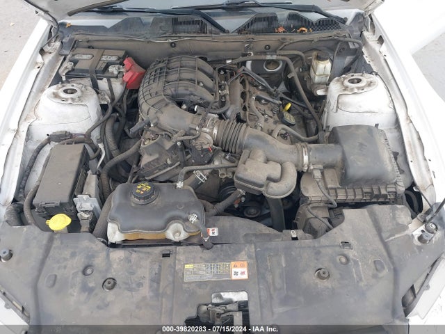 1ZVBP8AM6E5311038 Ford Mustang V6