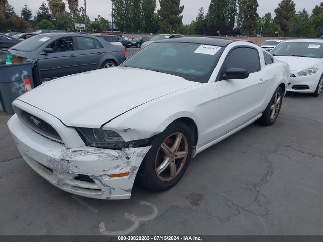 1ZVBP8AM6E5311038 Ford Mustang V6