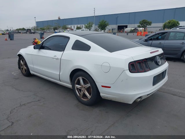 1ZVBP8AM6E5311038 Ford Mustang V6