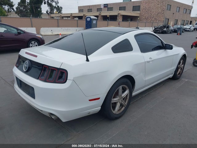 1ZVBP8AM6E5311038 Ford Mustang V6