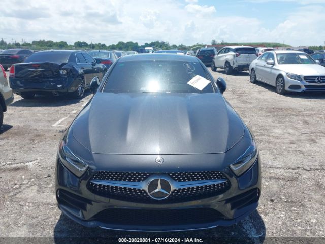 W1K2J5JB4MA090617 Mercedes-Benz CLS 450