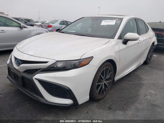 4T1S31AK4RU067109 Toyota Camry Hybrid Se