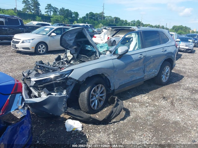 Honda Cr-v Ex Awd 2024 7FARS4H47RE007059 Image 2