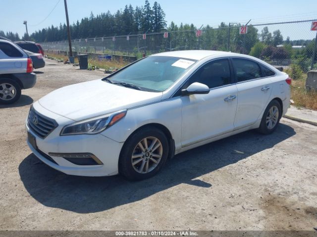 5NPE24AA9FH175759 Hyundai SONATA ECO