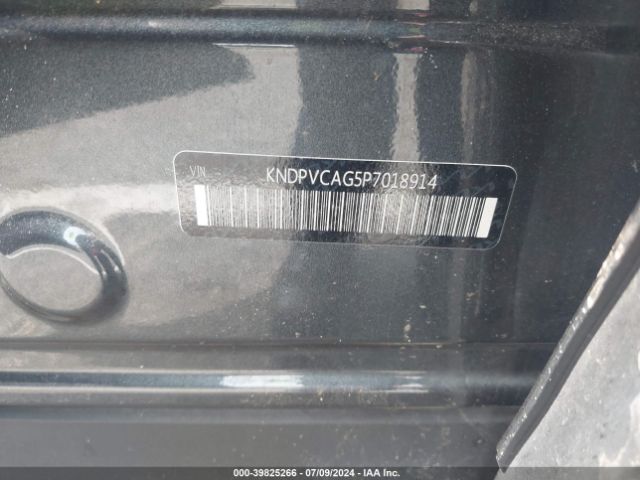 KNDPVCAG5P7018914 KIA Sportage Hybrid Ex