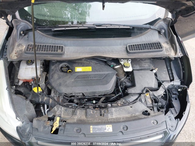 Ford ESCAPE SE 2014 1FMCU9GX6EUB60226 Image 10
