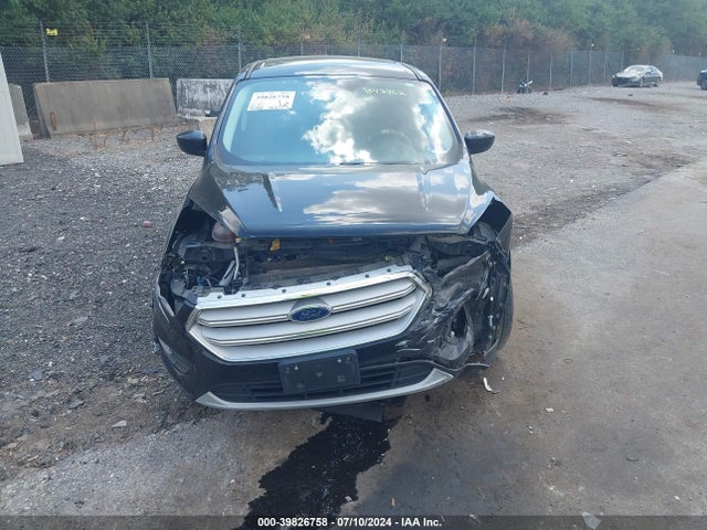 Ford ESCAPE SE 2019 1FMCU0GD1KUB43962 Image 12