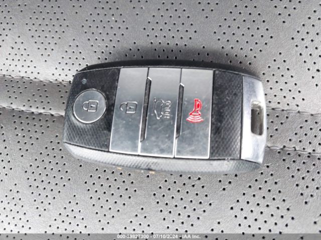5XYPK4A56GG072335 KIA Sorento 3.3l Sxl