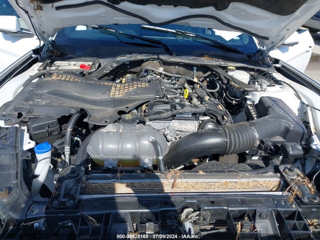 Ford Mustang Ecoboost Premium 2023 1FATP8UH4P5103237 Image 10
