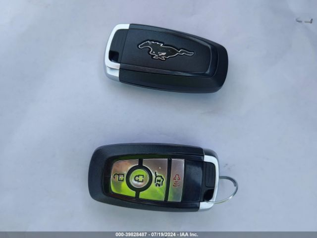 3FMTK3R76PMB03029 Ford Mustang Mach-e Premium