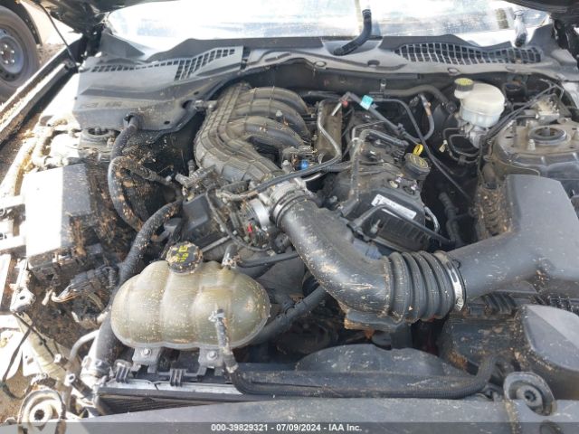 1FA6P8AMXH5346518 Ford Mustang V6