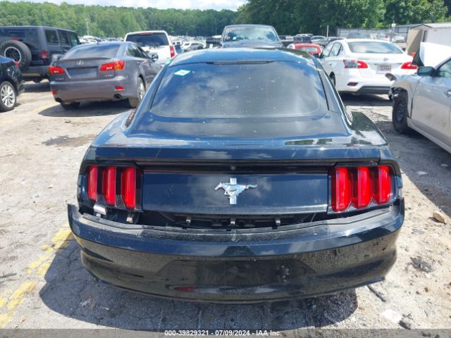 1FA6P8AMXH5346518 Ford Mustang V6