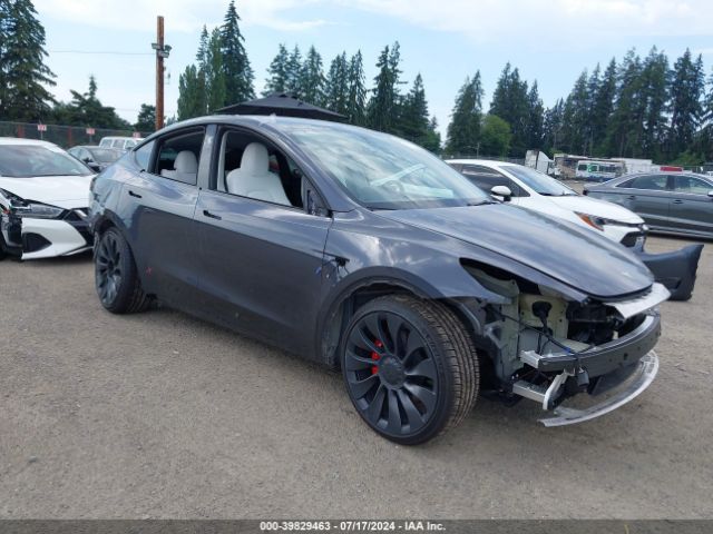 2023 TESLA MODEL Y 7SAYGDEF4PF903186