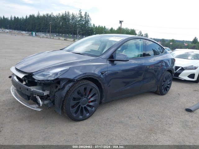 2023 TESLA MODEL Y 7SAYGDEF4PF903186 Photo 1