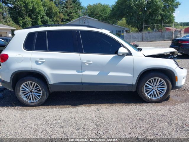 WVGJV7AX4GW516066 Volkswagen Tiguan
